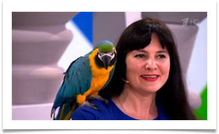 skliarova-tv (25)